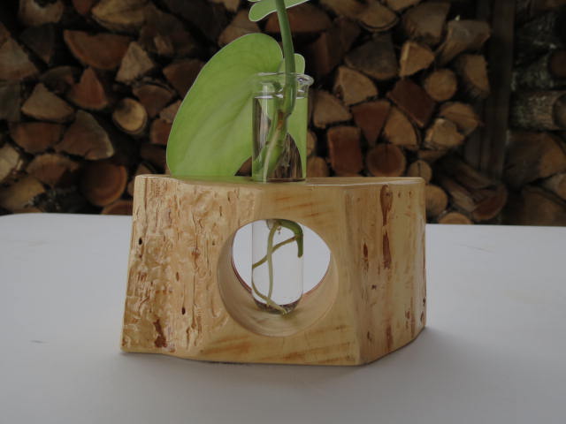 Double Live-edge Plant Propagation
