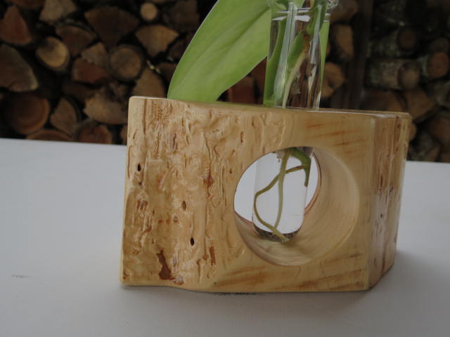 Double Live-edge Plant Propagation