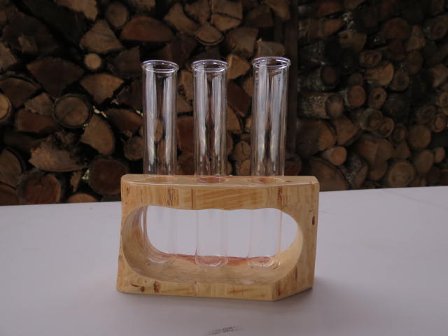 Double Live-edge Plant Propagation Station with 3 test tubes