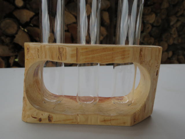 Double Live-edge Plant Propagation Station with 3 test tubes