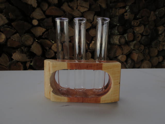 Double Live-edge Plant Propagation Station with 3 test tubes
