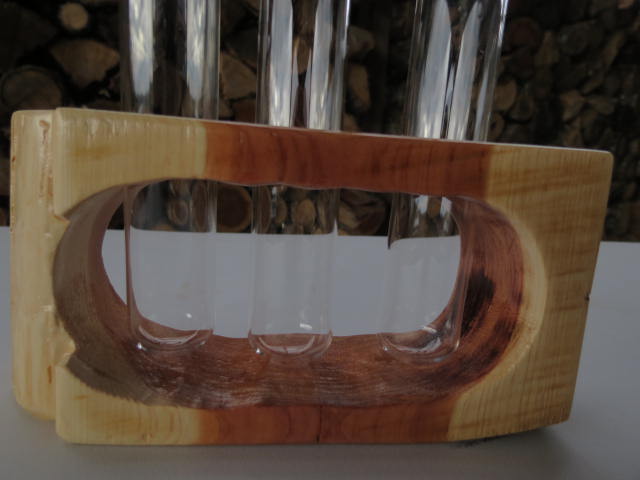 Double Live-edge Plant Propagation Station with 3 test tubes