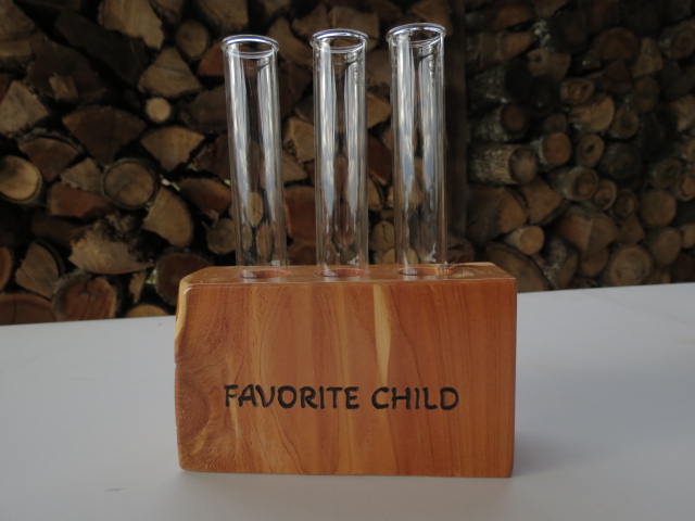 Plant Propagation with 3 tubes