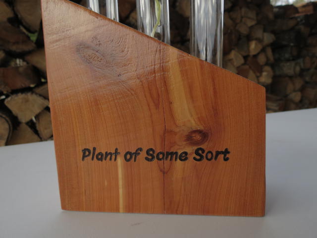 Angled Plant Propagation with 3 tubes