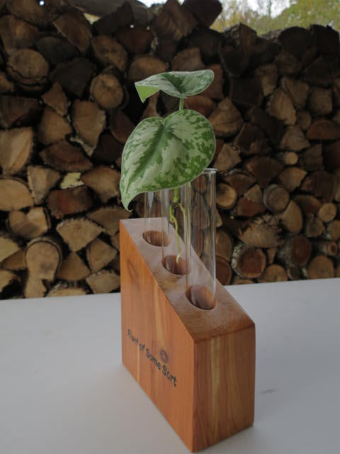 Angled Plant Propagation with 3 tubes