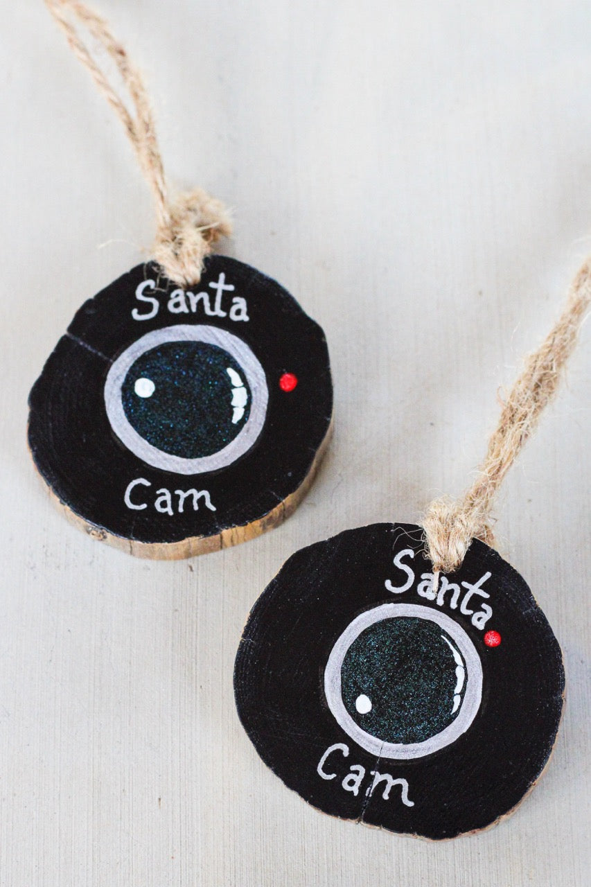 Santa Cam