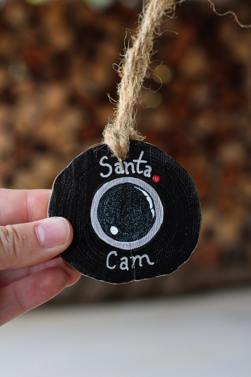 Santa Cam