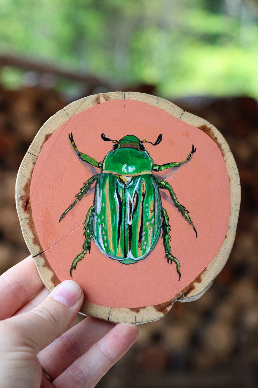 Green Beetle Jumbo Coaster