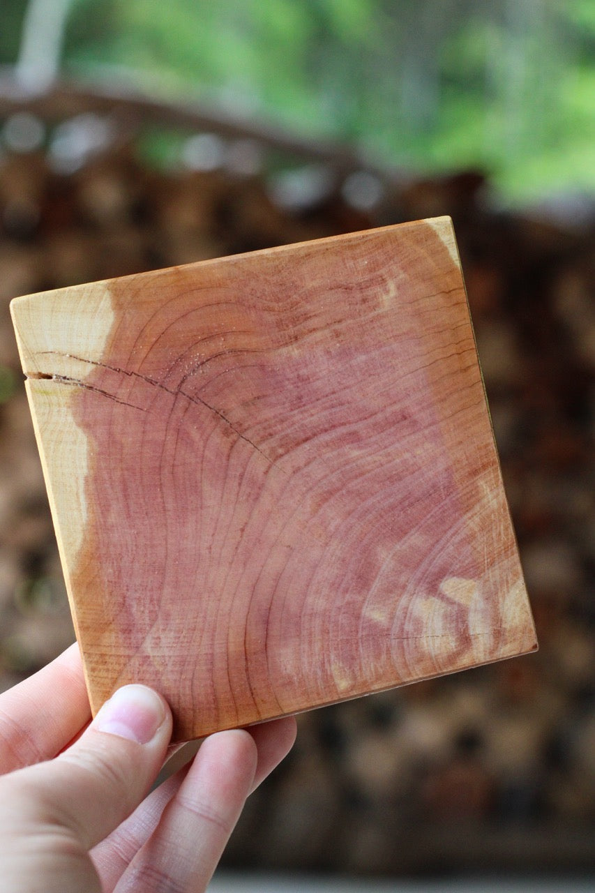 Plain Square Coaster Set