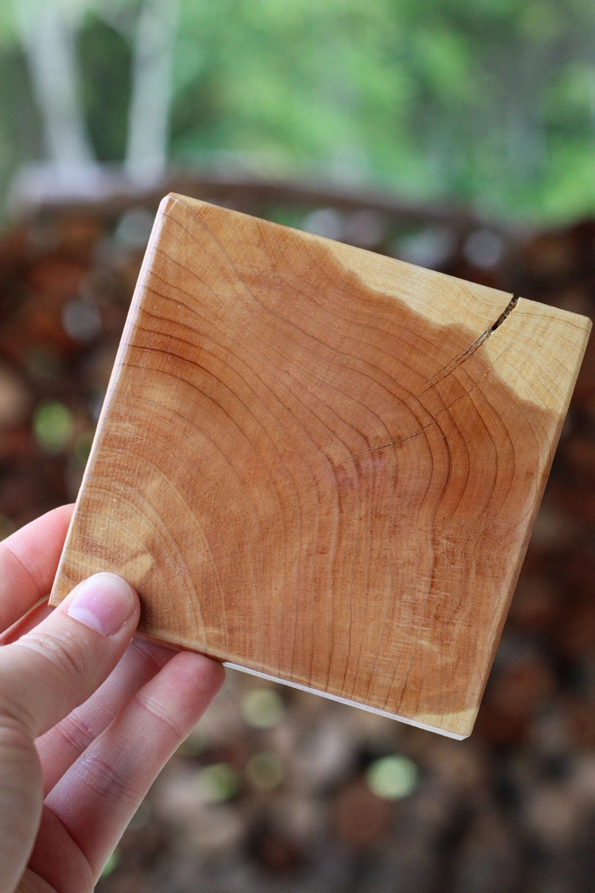 Plain Square Coaster Set