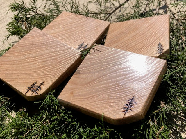 Trees Square Coaster Set
