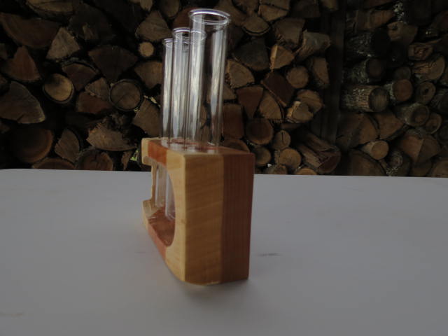 Double Live-edge Plant Propagation Station with 3 test tubes