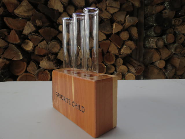 Plant Propagation with 3 tubes
