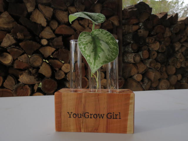 Plant Propagation with 3 tubes