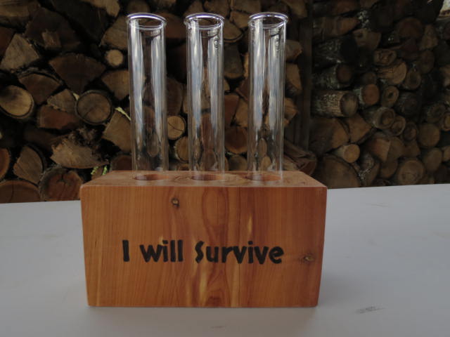 I will Survive