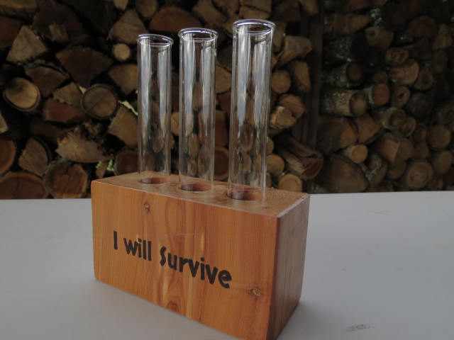 Plant Propagation with 3 tubes