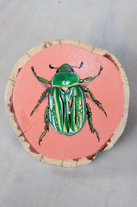 Green Beetle Jumbo Coaster