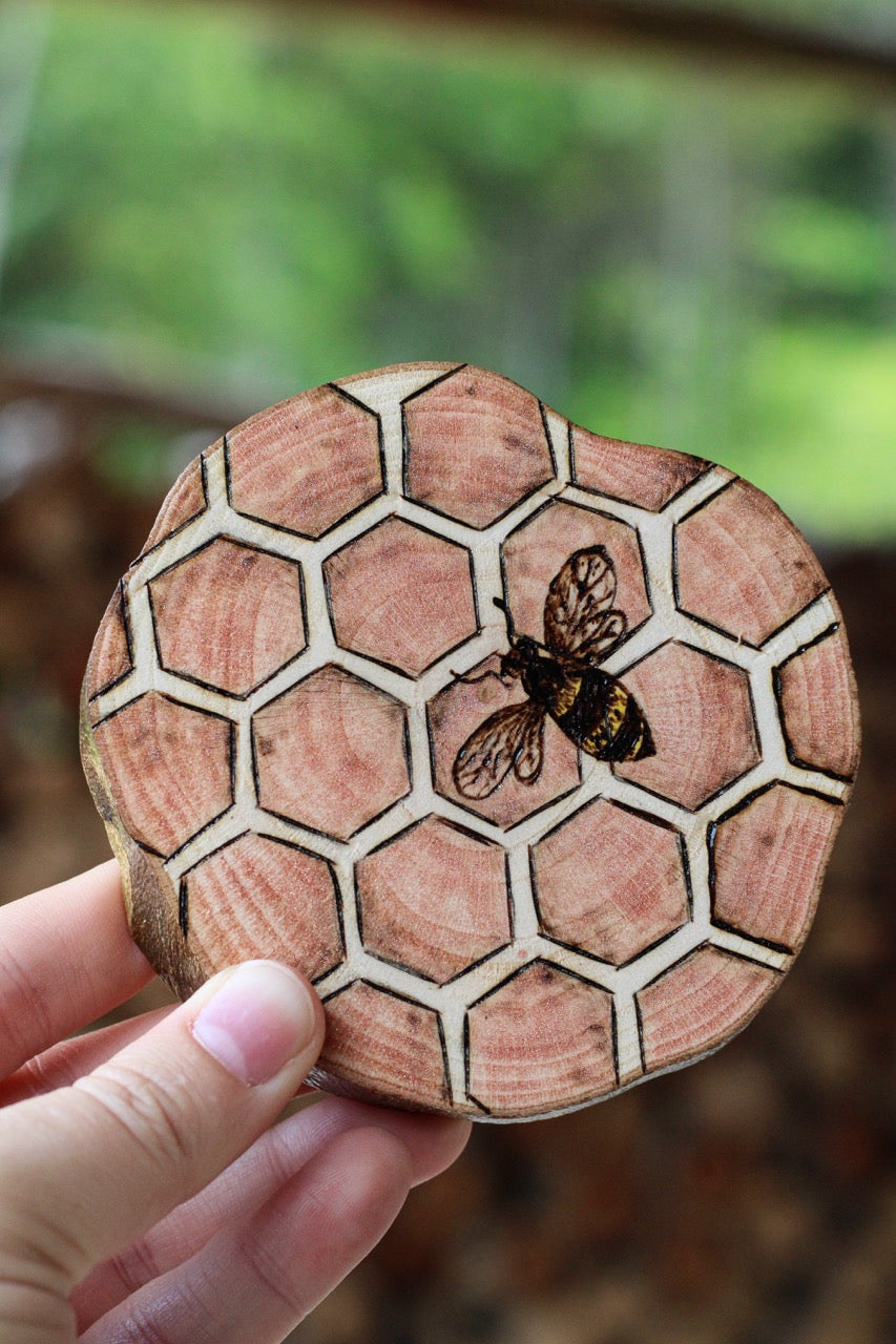 In the Beehive Coaster Set