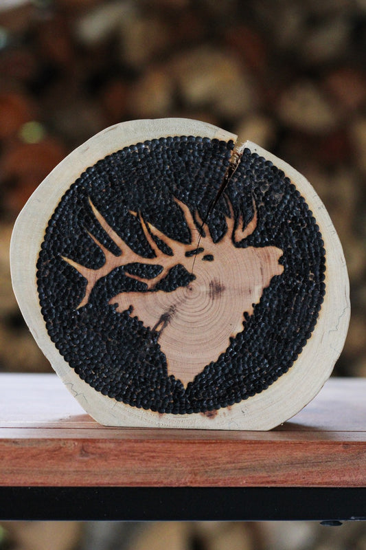 Elk Shelf Sitter