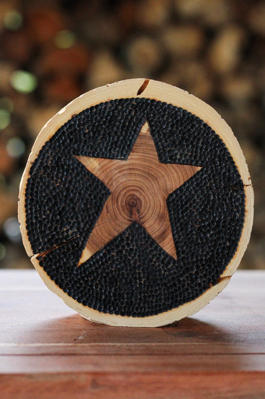 Star Shelf Sitter