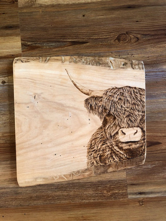 Highland Cow