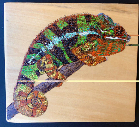 Colorful Chameleon